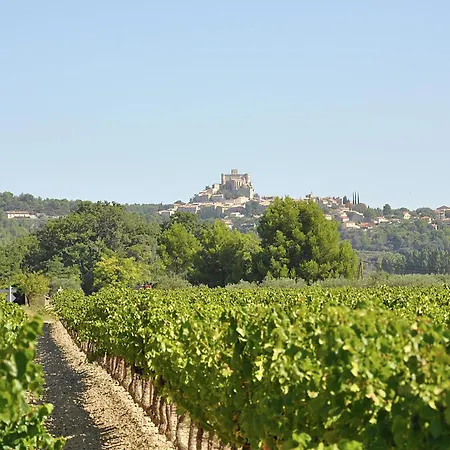 Saint Veran Villa Beaumes-de-Venise